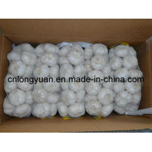 New Crop Chinese Pure White Garlic 500g